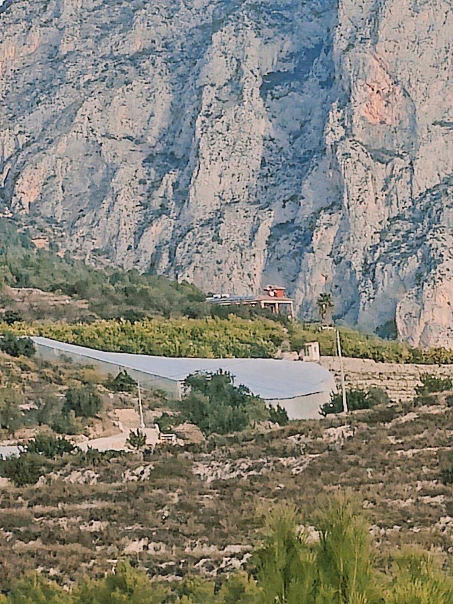 Finca Oliva Bolulla Exterior photo